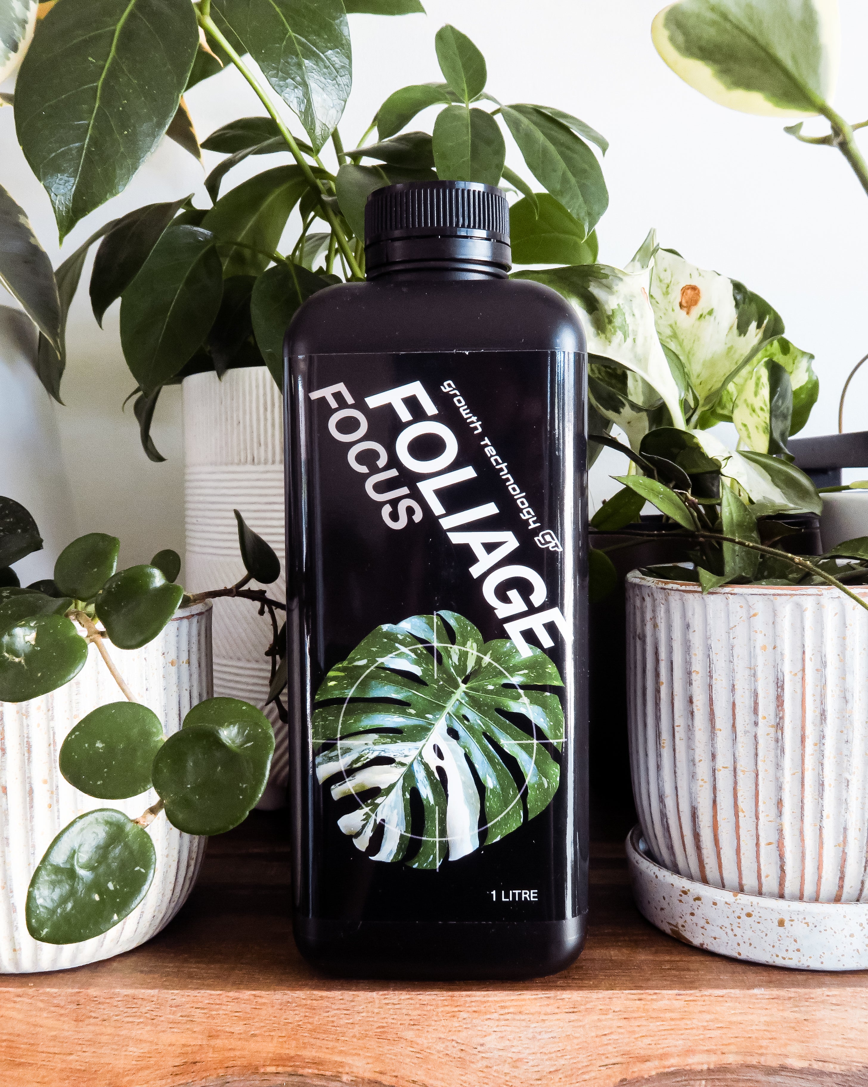 Foliage Focus by Growth Technology | That Foliage Life